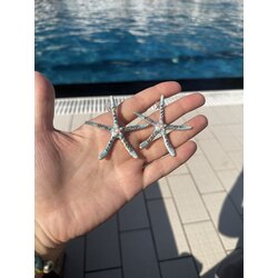 Deniz Yıldızı Küpe 