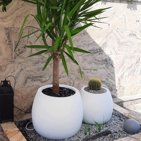 mini domates saksı