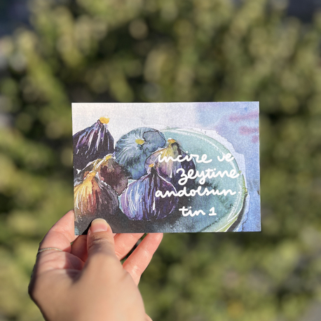 vettinivezzeytun-kartpostal