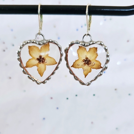 Mum Çiçeği Küpeler (Hoya)
