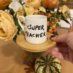 Super Teacher