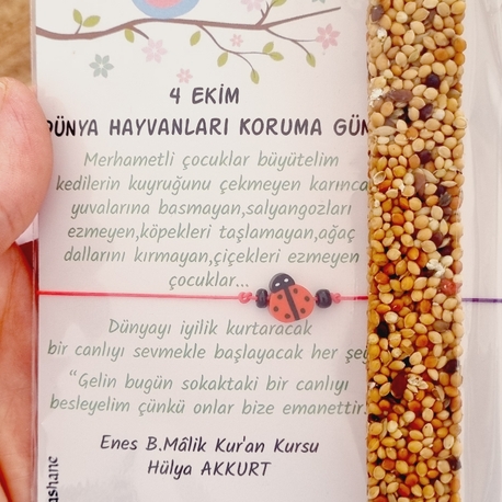 Çubuk Kuş Yemi ve Bileklik 