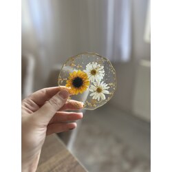 Ayçiçeği Papatya Bardak Altlığı 