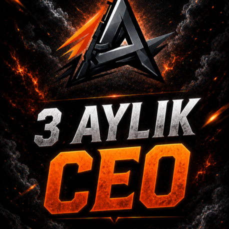 3 Aylık CEO