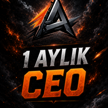 1 Aylık CEO