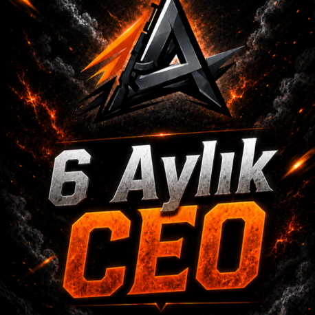 6 Aylık CEO