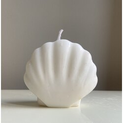 Little Scallop