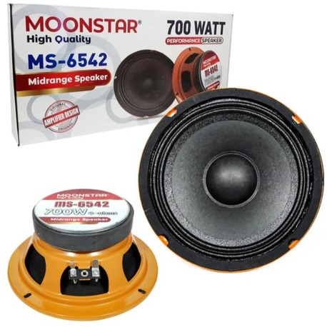 MoonStar MS-6542 16cm midrange 700watt 