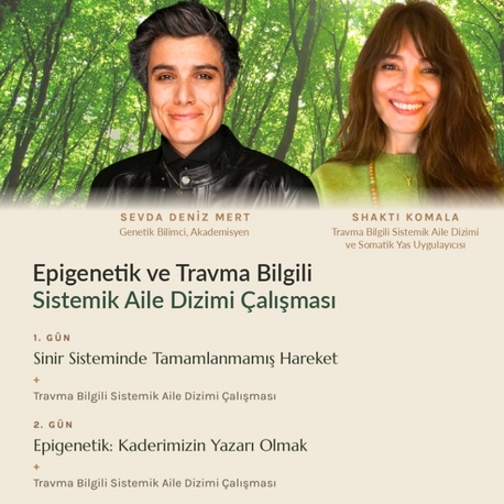 Epigenetik ve Sinir Sistemi Semineri ve Travma Bilgili Sistemik Aile Dizimi Çalışması 
