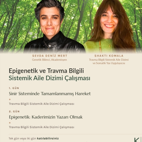 Epigenetik ve Sinir Sistemi Semineri ve Travma Bilgili Sistemik Aile Dizimi Çalışması
