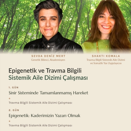 2 günlük seminer -alan deneyimi (temsilci)
