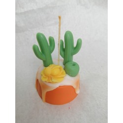 Kaktüs mini pasta
