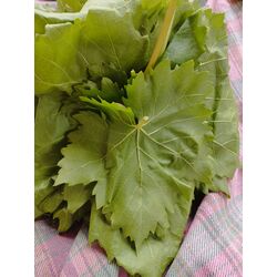 Salamura Yaprak (3 kg) 