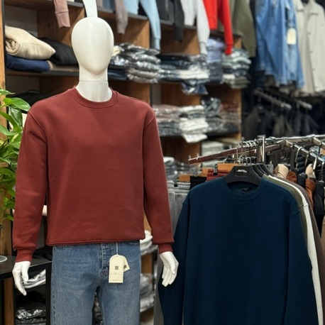 OVERSIZE BASIC SWEATSHIRT (FS1241U)
