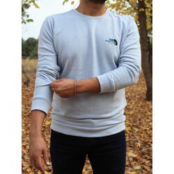 North Face erkek sweatshirt 