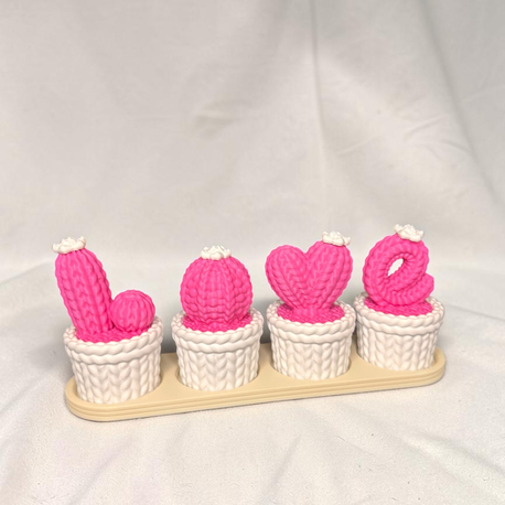 Love kaktüs dekor ( pembe ve beyaz)