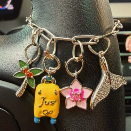 DİREKSİYON CHARM ARABA DİREKSİYON SÜSÜ 
