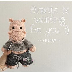 Hippo Barnie Tarifi Amigurumi