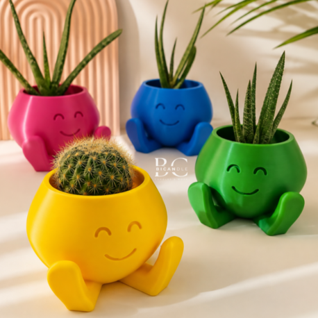 "Smile Buddy" Saksı - Sukulent&Kaktüs Saksısı