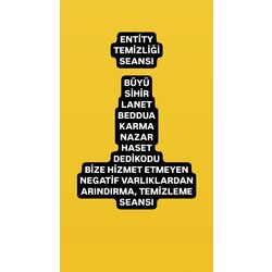 ENTİTY TEMİZLİĞİ SEANSI 