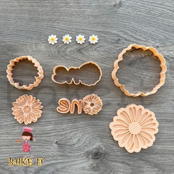 DURU 3 lü Set