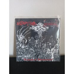 Blasphemophagher/Necroholocaust Split 7 inc LP