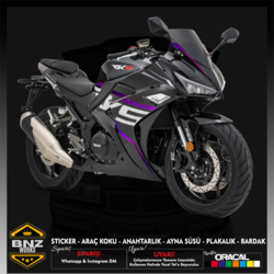 RKS R250 ÇİZGİ STİCKER SET