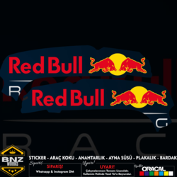 NS200 ŞASE (REDBULL)