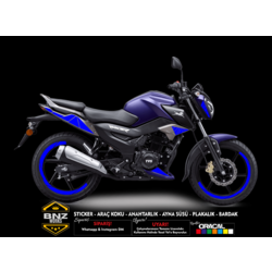 TVS RAİDER STİCKER SET