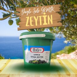 Taş Baskı Yağlı Sele Gemlik Zeytin Jumbo boy 291-320 tane 10 kg