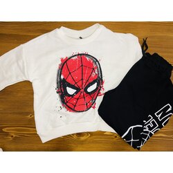 spiderman takım