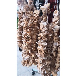 Dolmalık Kuru Kabak