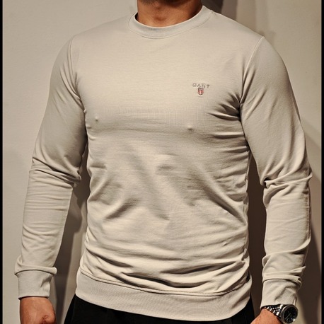 Gant Sweatshirt-Gri