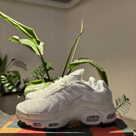 Air Max Plus Tn Beyaz
