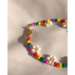 Rainbow daisy halhal/bileklik