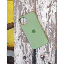 iPhone 11 Lansman Kılıf 