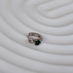 Tragus 10