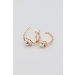 Rainbow hoops küpe