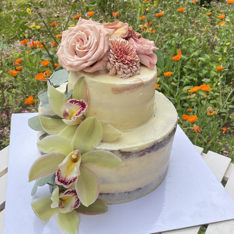 Naked engaged cake4