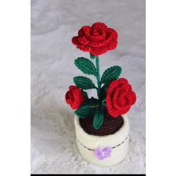 Saksıda örgü üçlü gül dalı