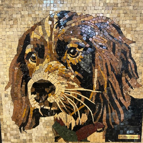 Köpek Portresi