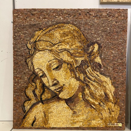 Venüs Tasviri (DaVinci)