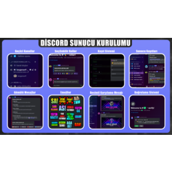 Discord Server Setup