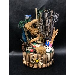 Kasa Tipi