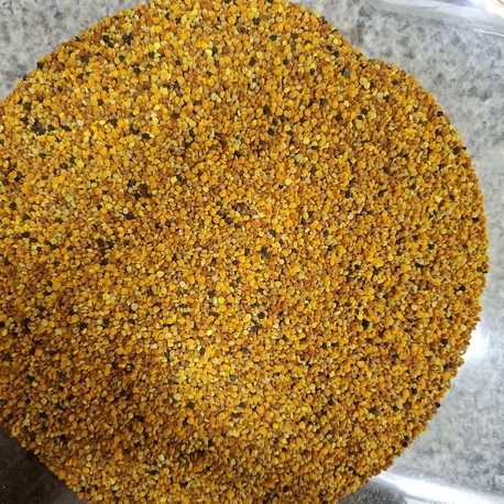 Polen 500 gr