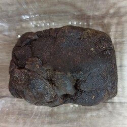 Ham Propolis 100 Gram 