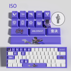 ISO - 22