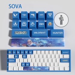 Soya - 20
