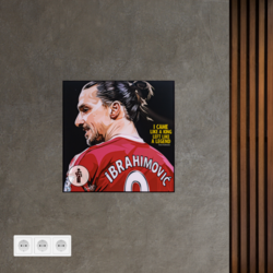 02 - Zlatan Ibrahimović