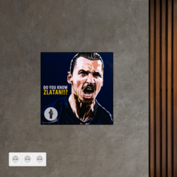 52 - Zlatan Ibrahimović2